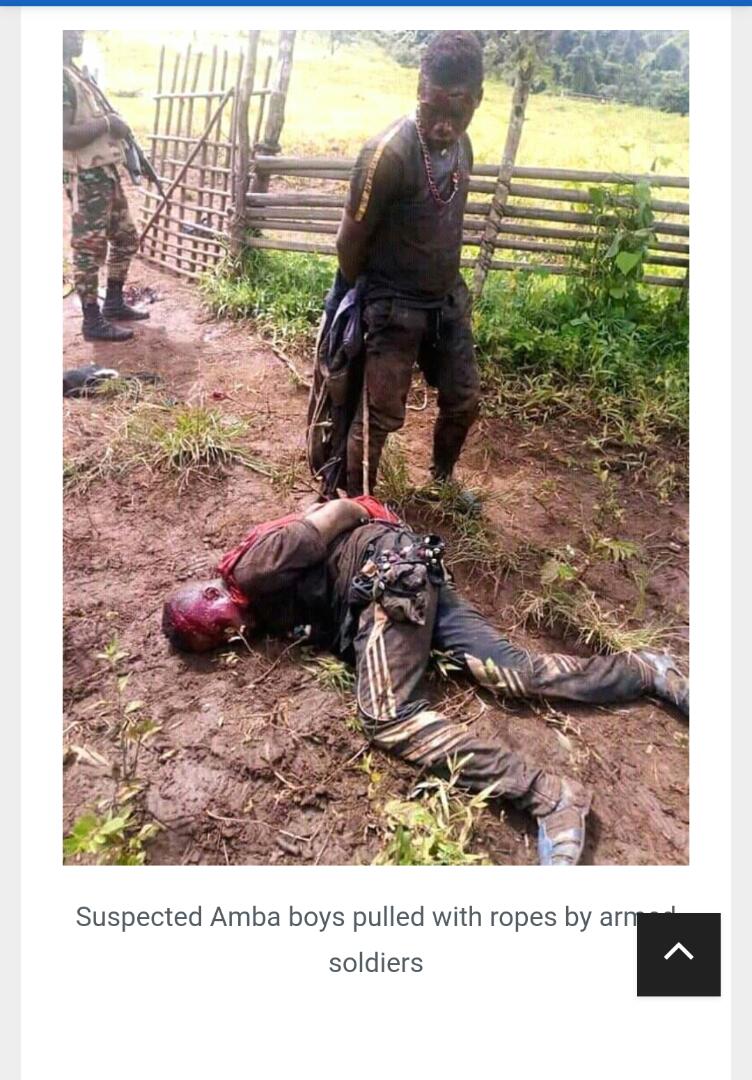 apeterbruce's tweet photo. Sir @CohenOnAfrica, as #DDay approaches so does #DeathToll in #Ambazonia rises. Ur foresight last yr gives meaning 2 today's #MondayMotivation though #Washington lobbying firms make feeble brat #PaulBiya feel #time is on his side.@AmbJohnBolton @AsstSecStateAF @SCRtweets @FoxNews https://t.co/vfafS5QcZr