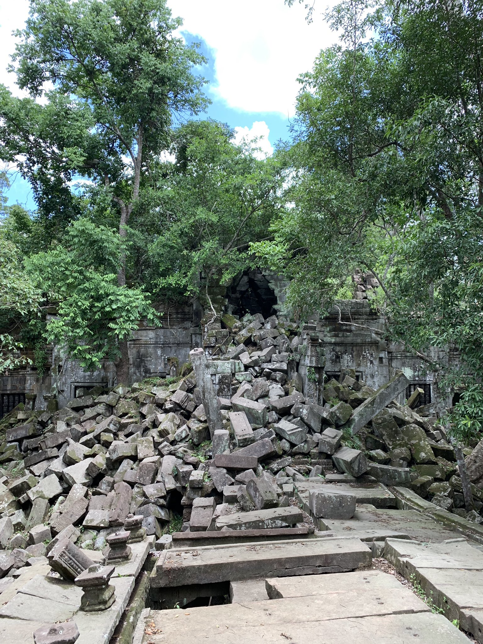 新ヶ江章友 AkitomoShingae on Twitter 