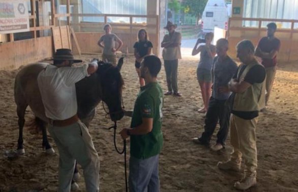 EmBuscaCC's tweet photo. Primeiro curso de Freio de Ouro na Europa! Saiba mais no link: https://t.co/8tOzUOYRzf

#EmBuscaDoCavaloCrioulo #CavaloCrioulo #RaçaCrioula #CriolloHorse #CaballoCriollo #Cavalli #Horse #Caballo #Cheval #Pferd #Farm #Breeding https://t.co/JRli2mtEaN