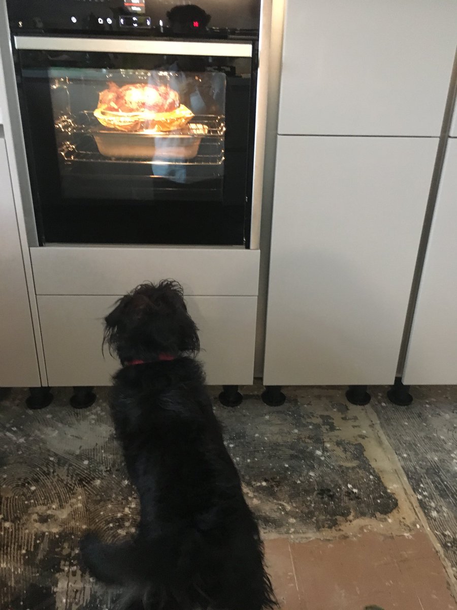 Jan10638274's tweet photo. Mmmmmmm roast chicken tonight! #Roscoholiday https://t.co/I5VG4P0CgH