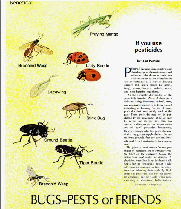 NYS Education Department tweet media