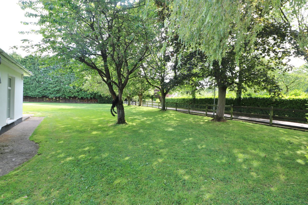 FrenchEstates2's tweet image. New to market 
3 Leixlip Gate, Leixlip, Co. Kildare
Detached residence on c. 1 acre, zoned existing residential in Local Area Plan. Massive potential #Leixlip #DevelopmentPotential #ZonedLand #FrenchEstates #Refurbish #Redevelop #OnView #RealEstate 
french-estates.ie/properties/197