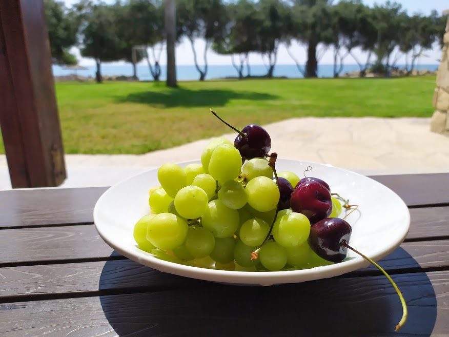 Trpel_com's tweet photo. Cyprus summer
#grapes https://t.co/YCV4WJqK16