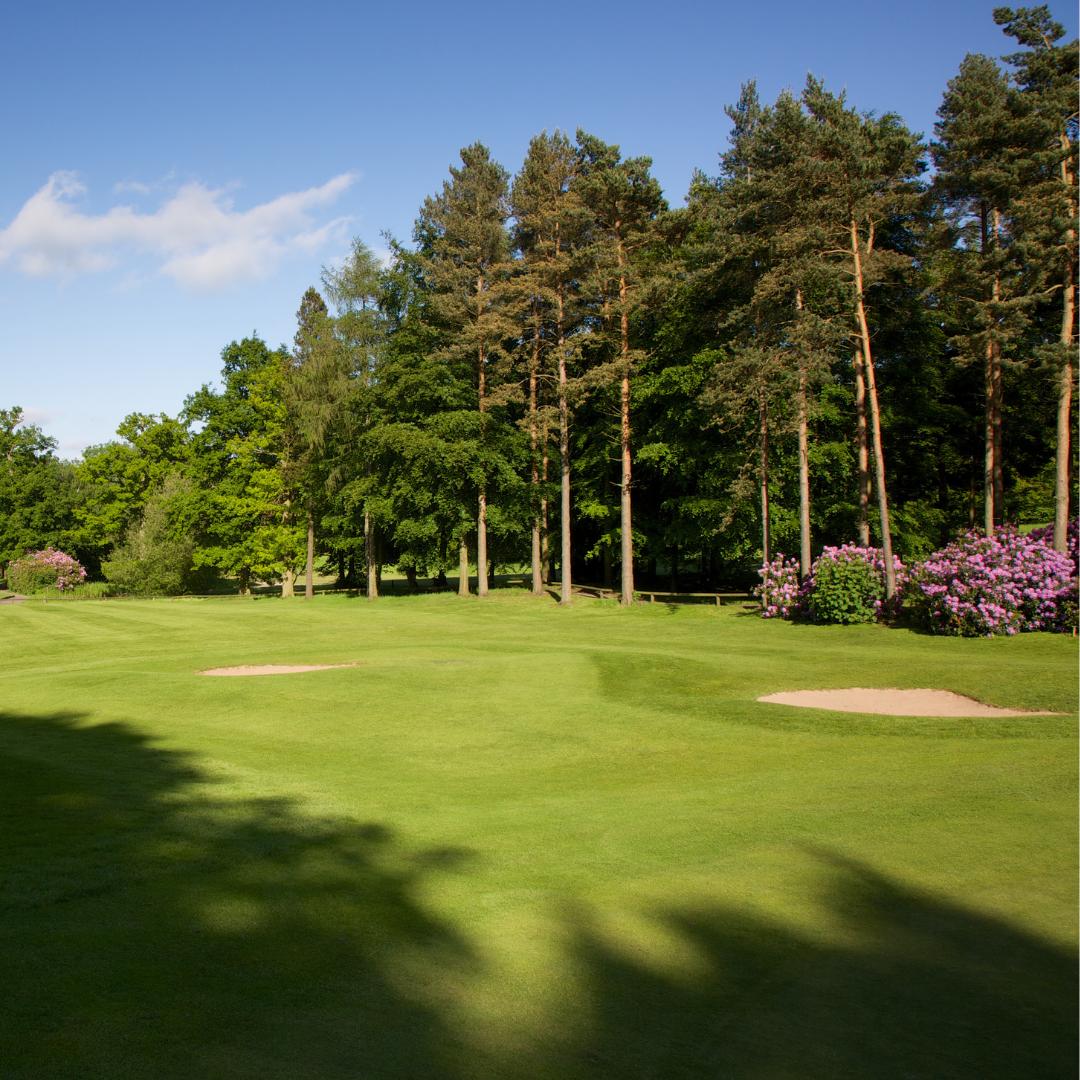 Experience an Overnight Stay, Dinner at Clocktower or Horto, Yorkshire breakfast, two rounds on the championship 18 hole Hawtree Course and Two rounds on the 6 hole par-3 Repton Short Course during our Golf, Sleep and Dine experience. 

£300 per room 

ruddingpark.co.uk/offers/golf/go…