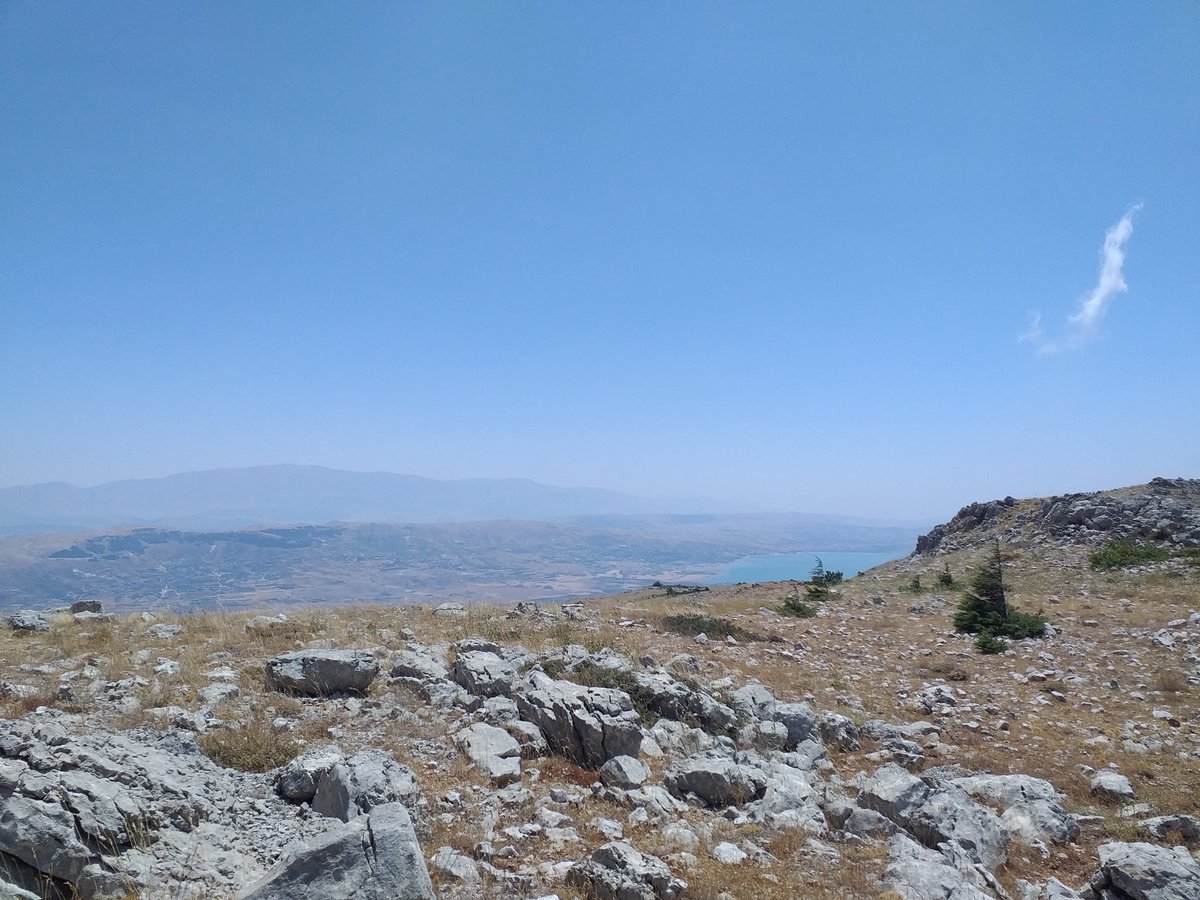 crampling's tweet photo. #Barouk #Bekaa #Cedars #Stunning #Thisissomething #BeautifulLebanon https://t.co/9TvYpbQ25J