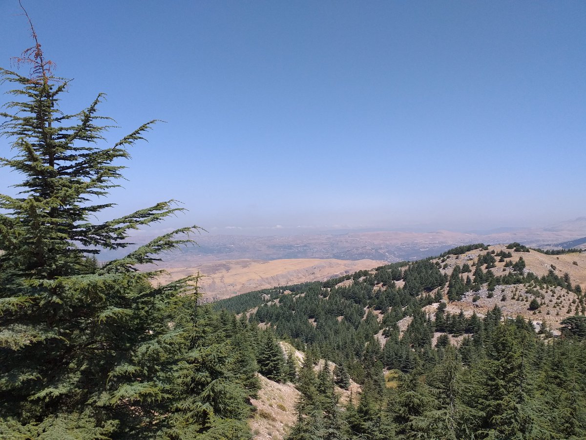 crampling's tweet photo. #Barouk #Bekaa #Cedars #Stunning #Thisissomething #BeautifulLebanon https://t.co/9TvYpbQ25J