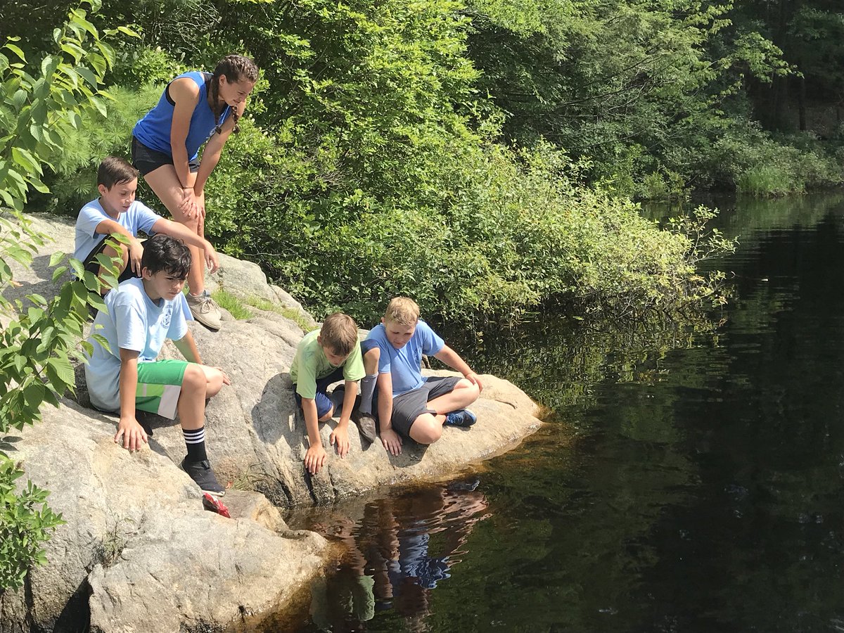 WeyRec's tweet photo. Last Thursday we went looking for wildlife at Wompatuck with the Geo-Hikers and we found some pretty cool stuff 🍃 🌲 🐟 
#WeyRec https://t.co/cvJs9Es5cy