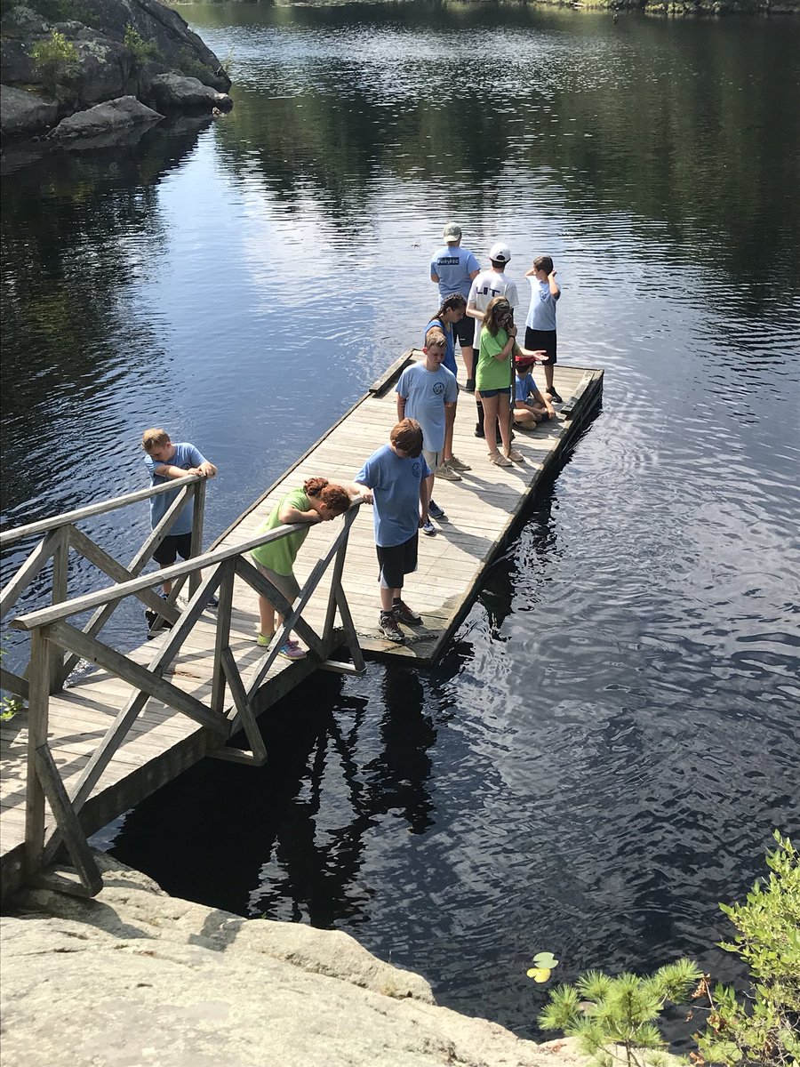 WeyRec's tweet photo. Last Thursday we went looking for wildlife at Wompatuck with the Geo-Hikers and we found some pretty cool stuff 🍃 🌲 🐟 
#WeyRec https://t.co/cvJs9Es5cy