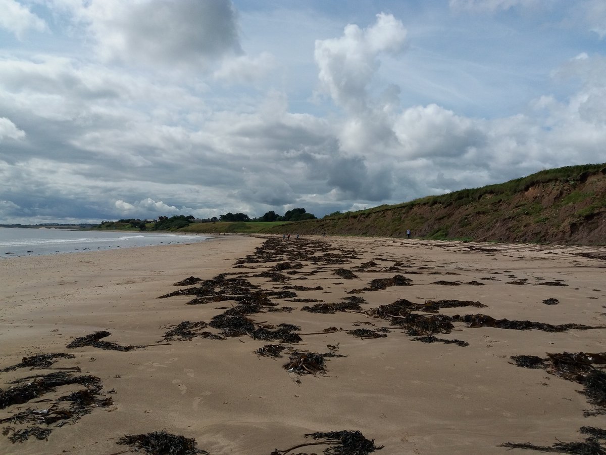 coast_care's tweet photo. The calm after the storm at #SeatonPoint #Northumberland today. The group of volunteers picked up 18kg of waste, which was mainly made up of small pieces of plastic caught up within the seaweed and a broken lobster pot. #NationalLotteryHeritageFund https://t.co/Ig6PFSdQuc