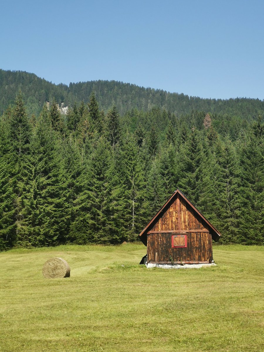 Bennoide's tweet photo. Val Bartolo #friuli #montagna #fvg #tarvisio #camporosso #valbartolo #fvglive #trekking #mountain #12agosto #boschi #prati #baite https://t.co/dEQBOXaVWH