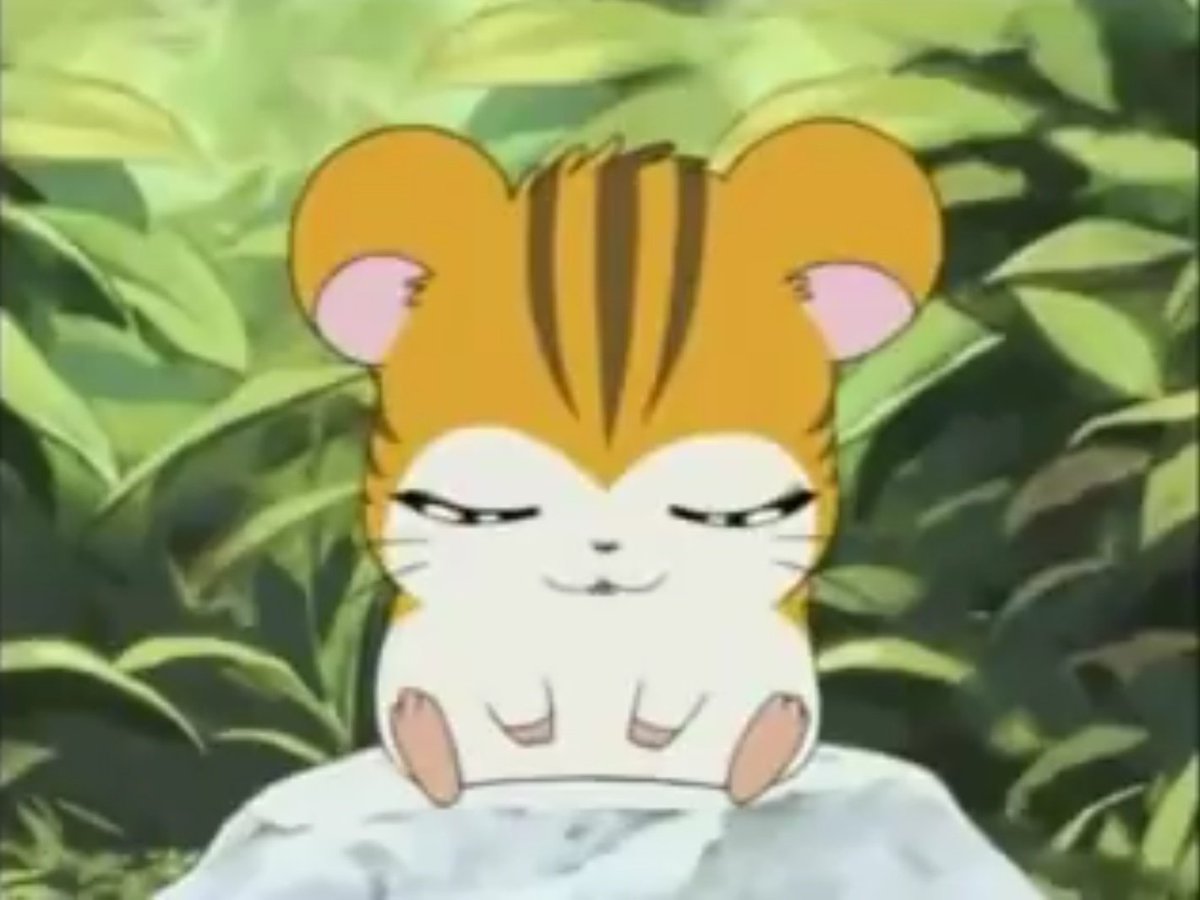 トラハム ちゃん かわいい