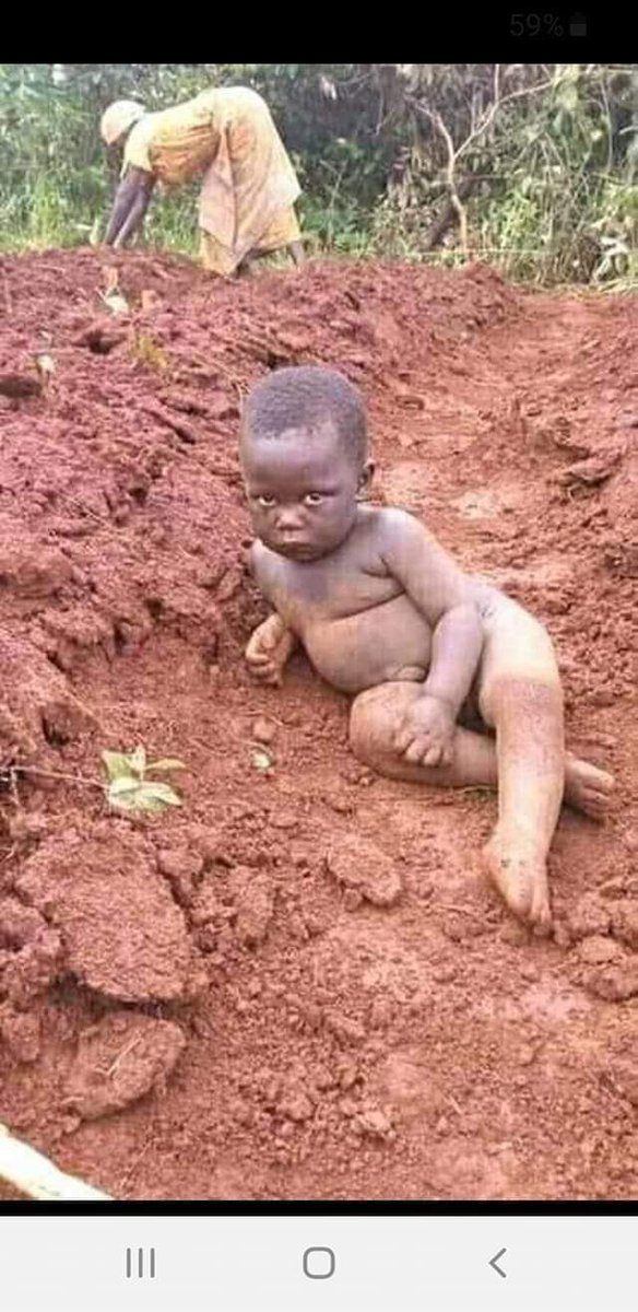 Awale22Mi's tweet image. 🌾🙏🌱