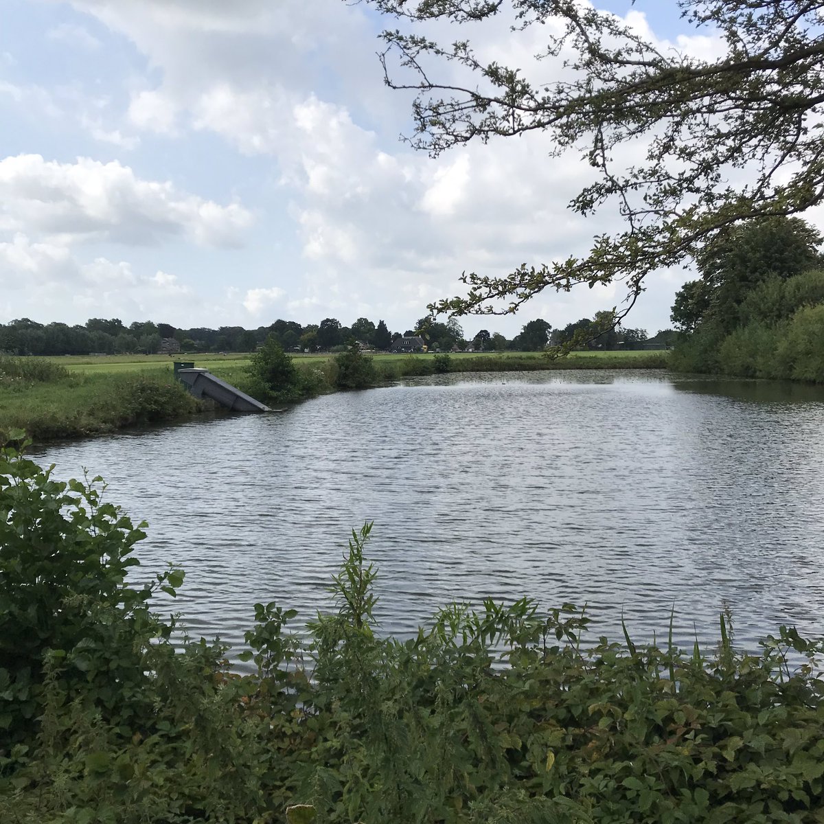 PennyHaw's tweet photo. So, ✅ @Pink at Malieveld was fabulous, including her bollemakiesie flight over the crowd like a rocking Tinkerbell and ✅ a scenic, acclimatising six km #flatrun - during which I only got a little wet. (It’s pouring now.) #Netherlands #running #europeansummer https://t.co/MeVgamPCXv