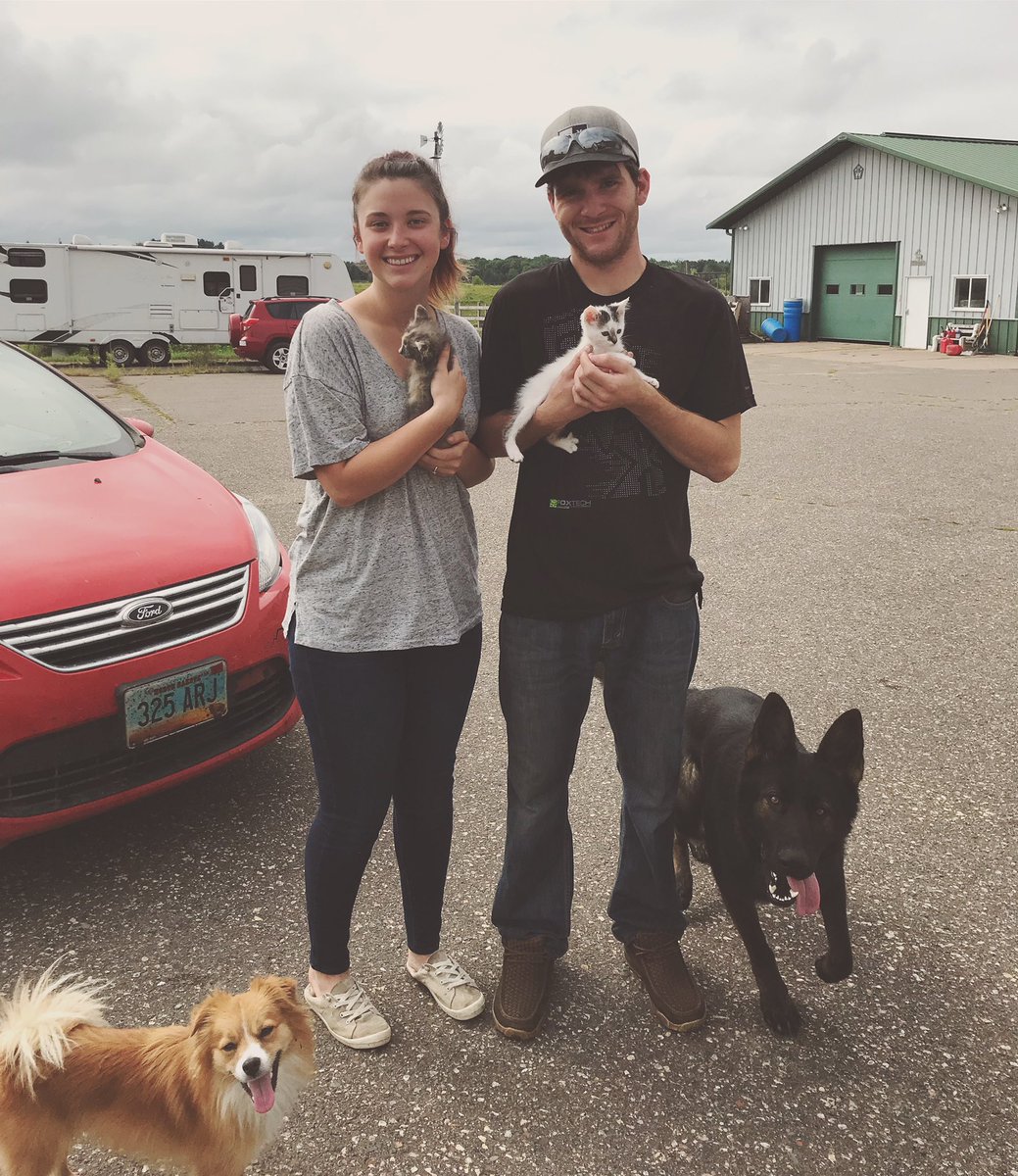 abbylynnhanson's tweet photo. @21Geiss didn’t really want a kitten so we compromised and got 2 kittens 🤷🏻‍♀️ https://t.co/v619X8PBP3