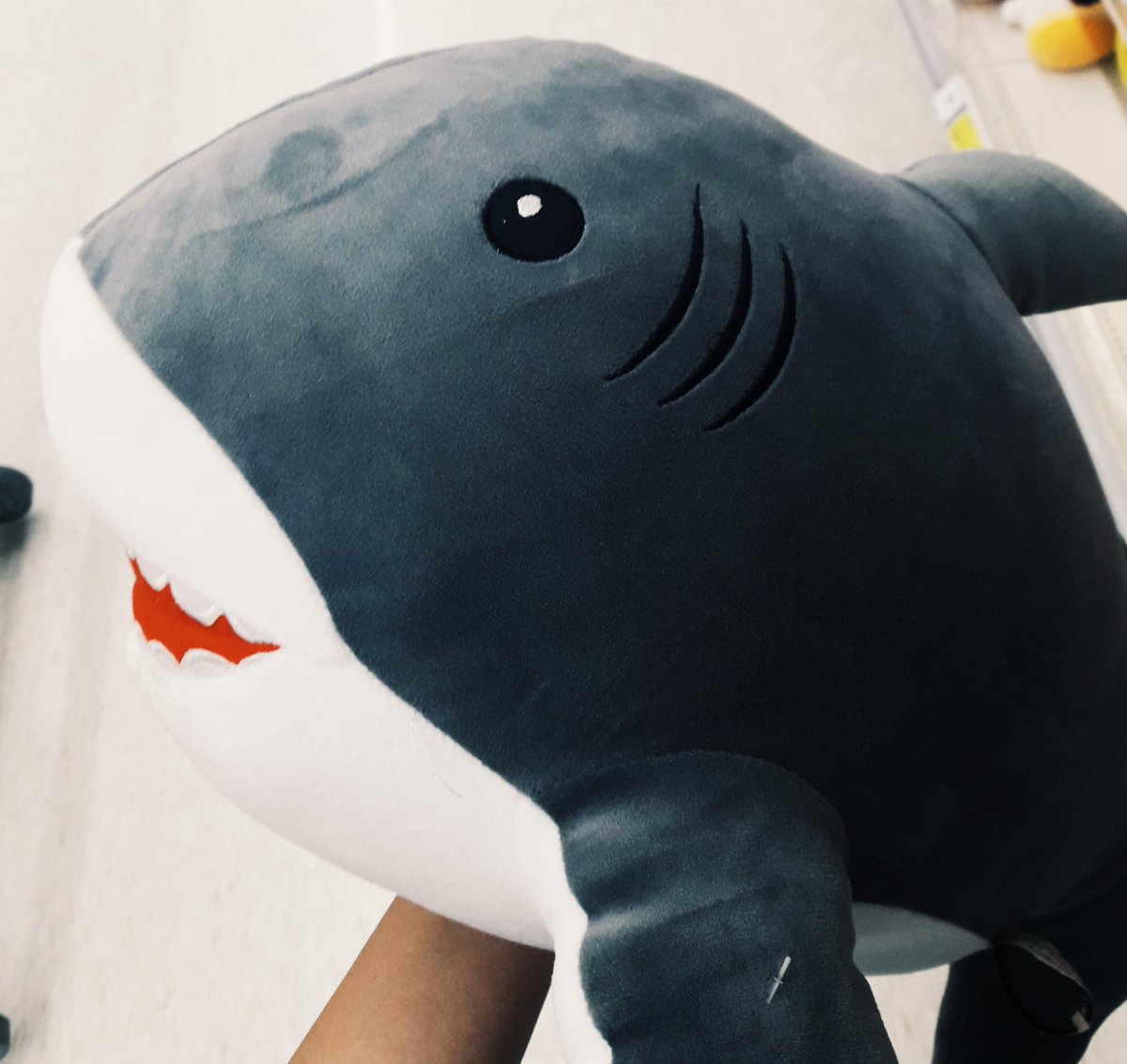 𝖏𝖆𝖋𝖆𝖗 | อยากเลี้ยงฉลาม🦈 tweet media