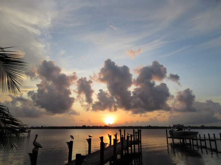 VivaSarasota's tweet photo. #SiestaKeySunrises #ThanksCharlie #VivaSarasota @wfla @SNNTV @mysuncoast #WFLA #SNN #MySuncoast #LoveSrq #LoveFL #LoveSK #SharetheLoveSrq #SharetheLoveSK #Sarasota #SarasotaFlorida #Srq #SK #SiestaKey #SiestaKeyBeach #Live941 #4Srq #4Sarasota #GoodMorningSrq #GoodMorningSunshine https://t.co/ounzyXq0jL