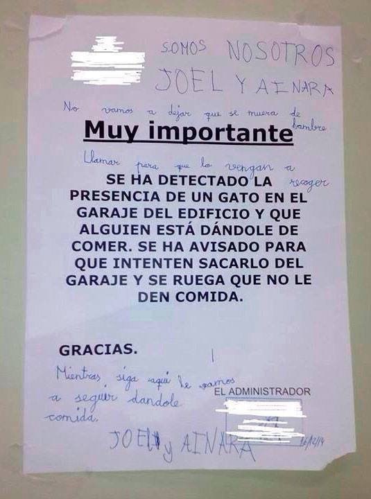 MultaniLuis's tweet photo. Niños que educan a adultos: https://t.co/gP1L8SYDyC
