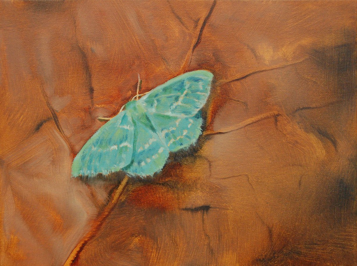 TaylorGalleries's tweet photo. Beatrice O'Connell
'Large Emerald Moth'
2019
oil on canvas
18 x 24 cm
...
On view in @TaylorGalleries' #SummerGroupShow till 7 September 2019. https://t.co/5vulSIBCyP