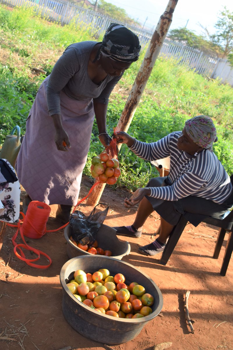 NMCF_SA's tweet photo. The Fund's Sustainable Livelihoods Programme creating a conducive environment which enables women to take control of their lives. https://t.co/LgPxHv8Y29