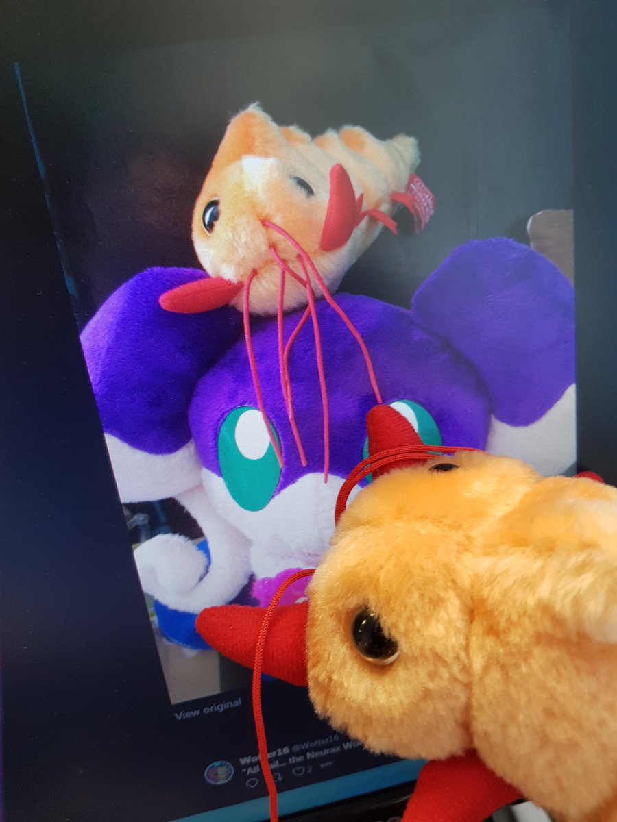 giant microbes neurax worm
