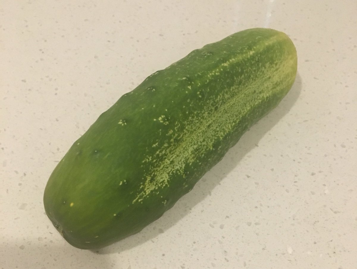 zylogram's tweet image. Our Community Gardening Group is planning a workday this Saturday! We need YOUR help to get good material together to fill our new raised beds -- food scraps, grass clippings, leaves...please help us out!

Check it out: we grew a cucumber!

meetup.com/mdcdsa/events/…