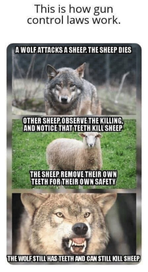 MegaMike_T's tweet photo. #GunControl #2ndAmendment #PatriotsUnited #SheepDog https://t.co/tUx7KoUPUM