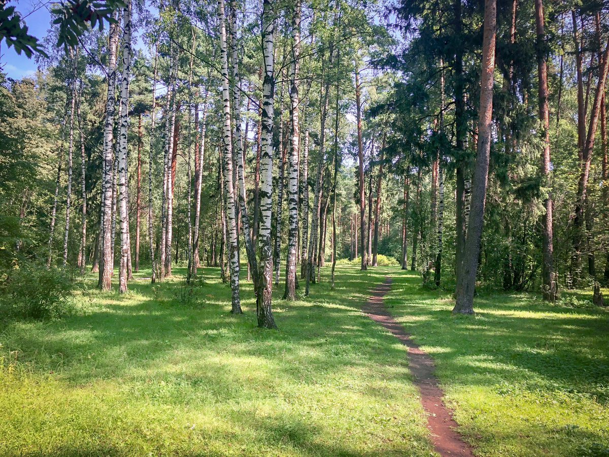 Дом отдыха харинка иваново