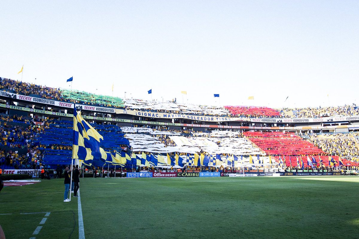 OM_English's tweet photo. 𝙾𝚕𝚢𝚖𝚙𝚒𝚎𝚗 +  𝚃𝚒𝚐𝚎𝚛 = 𝐊 𝐈 𝐍 𝐆 🇫🇷 👑 🇲🇽

Congratulations, @10APG &amp; @TigresOficial!

#120YearsOfLegend https://t.co/oiIQ52wdwj