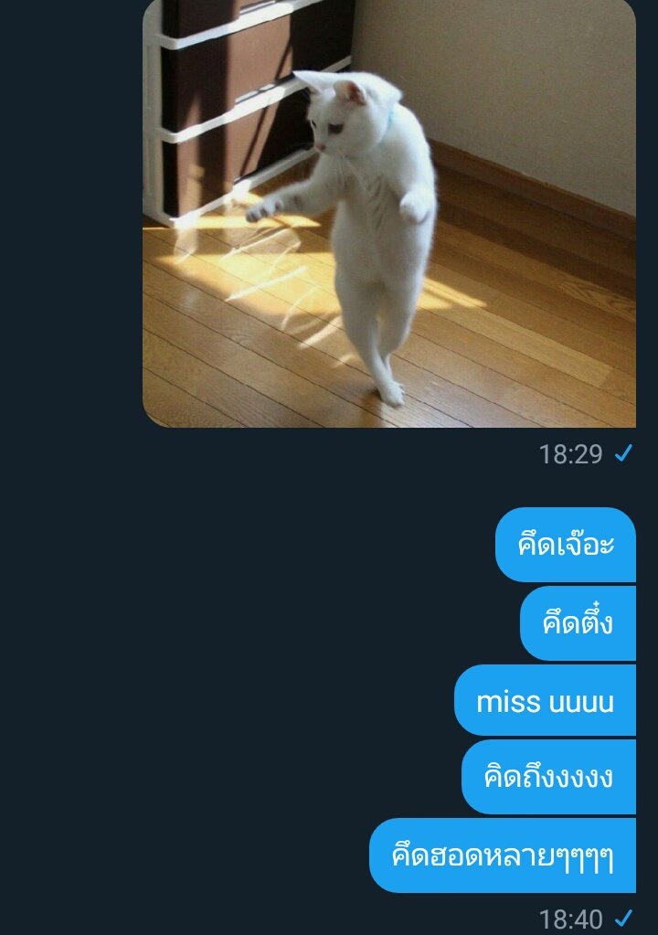 ddaddy0's tweet photo. เเงงง♥
#รีฟอลฟรี #rtฟอลฟรี https://t.co/M4irTaiRAM