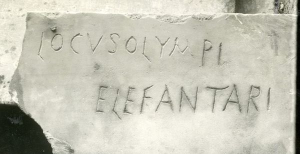 #WorldElephantDay In the tombstone of Olympius appears the sole occurrence of the term elefantarius (= elephantarius) in the entire written record of the Latin language. If you want to know more about it, read my post. #epigraphy #rome #earlychristianity gaetanosbevelacqua.home.blog/2019/08/08/oly…