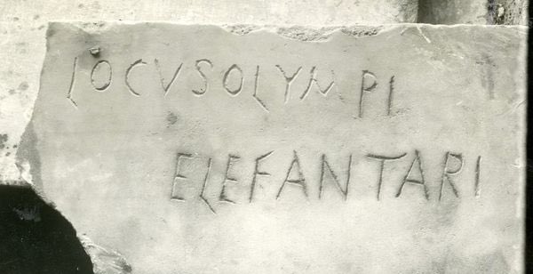 gasabe's tweet photo. #WorldElephantDay In the tombstone of Olympius appears the sole occurrence of the term elefantarius (= elephantarius) in the entire written record of the Latin language. If you want to know more about it, read my post. #epigraphy #rome #earlychristianity https://t.co/8YG4MFdofm https://t.co/5gHhIs2bBU