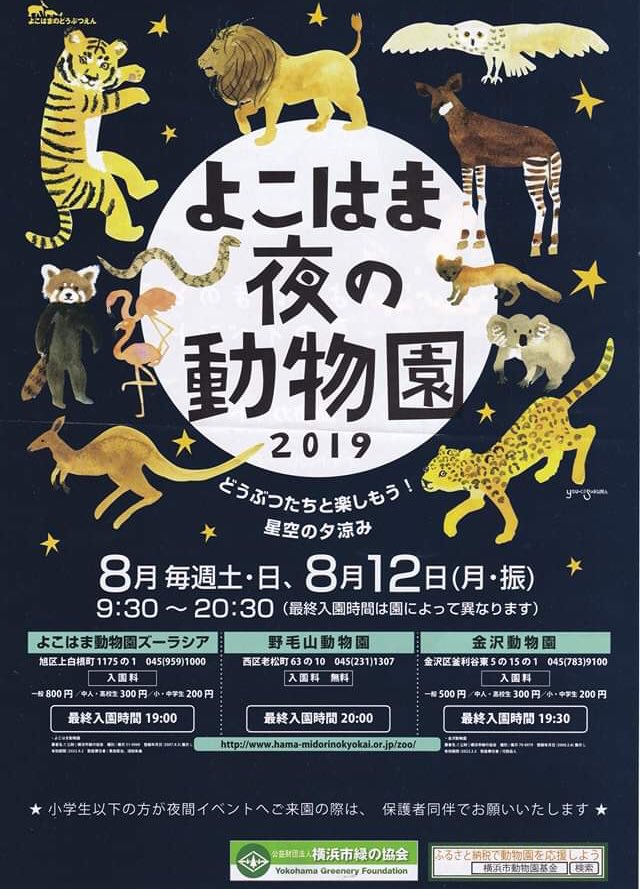 夜の動物園行った。おねむな動物が見れるよ。 