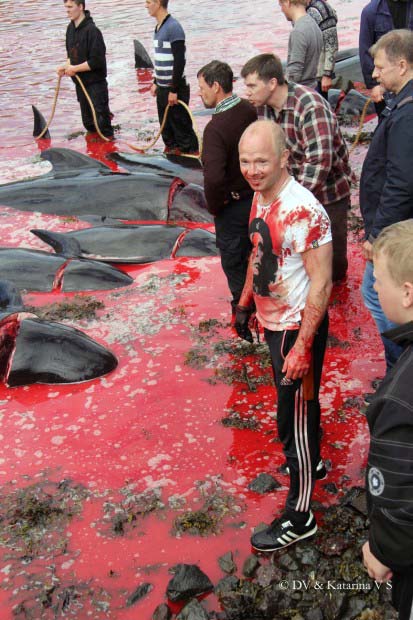 teabringsjoy's tweet photo. Speaking of "Festival of Sacrifice", are you also disgusted by the annual "Festival of Slaughter" takes place in your vicinity?!
Oh, No. These are just a bunch of peaceful white non-muslim Europeans showing their love!
My bad!
#EidulAdha2019 https://t.co/osHqMSMNYj
