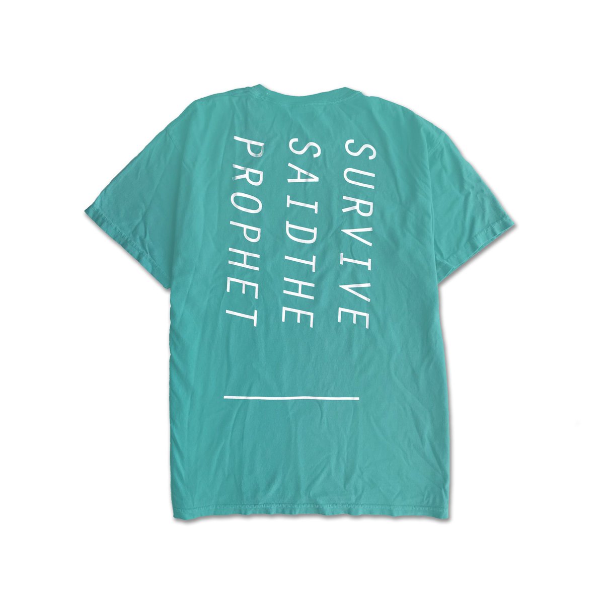 zestonerecs's tweet photo. 【ZESTONLINE】
Survive Said The Prophet | COMFORT TEE (SEAFOAM)
M | L | XL
https://t.co/qpI4Ba4nbh
#survivesaidtheprophet #サバプロ #SSTP #nmtet https://t.co/00OHMb89Cg
