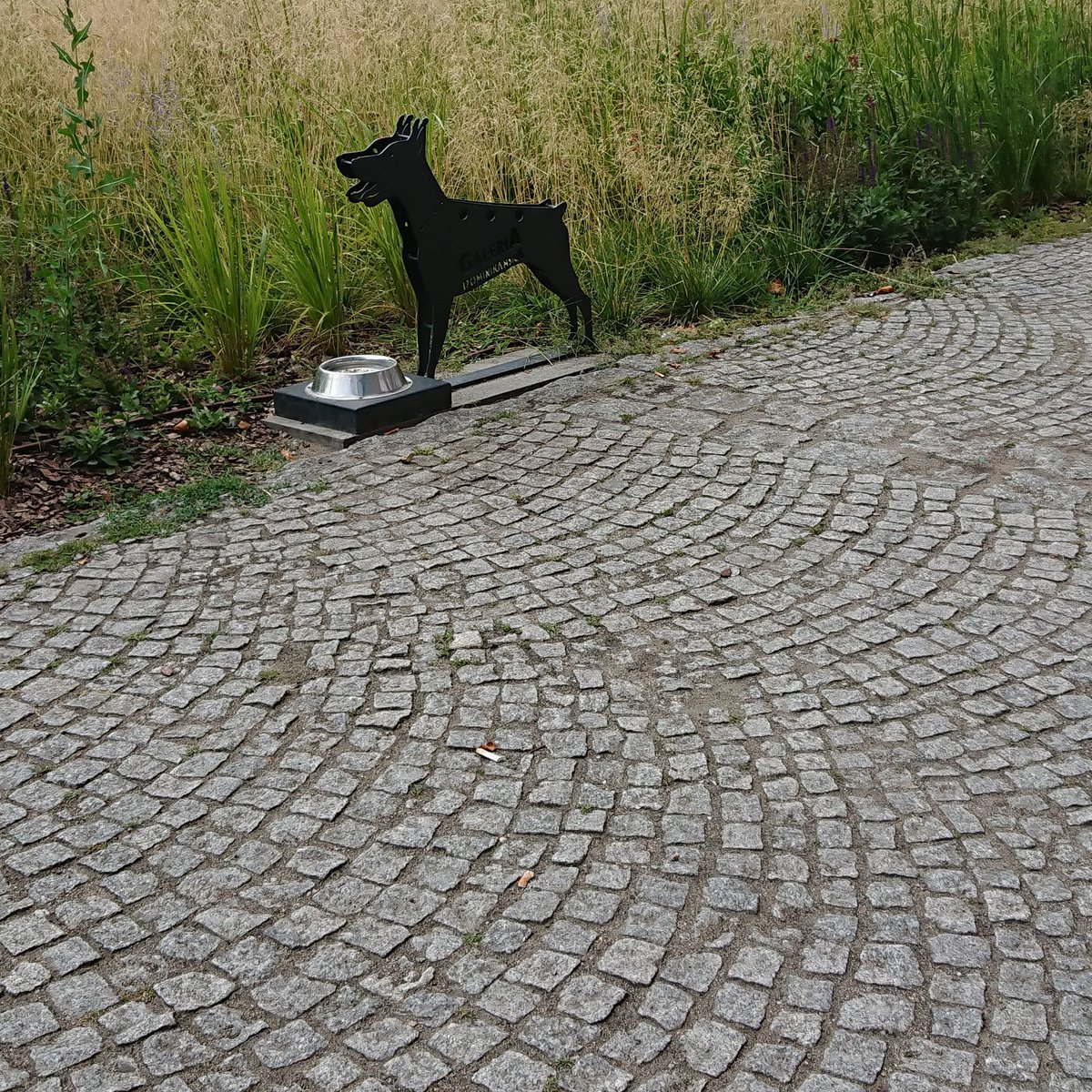 NBonjan's tweet photo. Varsovia 2019: a molts països occidentals ens manca sensibilitat envers els animals domèstics. A Polònia, cap gos 🐕 passa set 💦 quan surt al carrer. Els botiguers i els ajuntaments tenen cura de facilitar punts d'aigua pels gossos 🐾👌🐾#poland #animalfriendly #educacióncanina https://t.co/T72hkAnrXJ