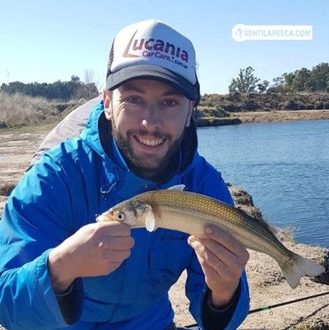 Sentilapesca's tweet photo. #Brandsen |  Visitamos un nuevo pesquero de Brandsen (Laguna los tigre) donde logramos una muy buena calidad de #pejerrey, todavía hay mucho juvenil para devolver
.
#pescadeportiva #peje #decosta #pescadoresdealejandrokorn #sentilapesca #laguna https://t.co/E8qEA4wsCi