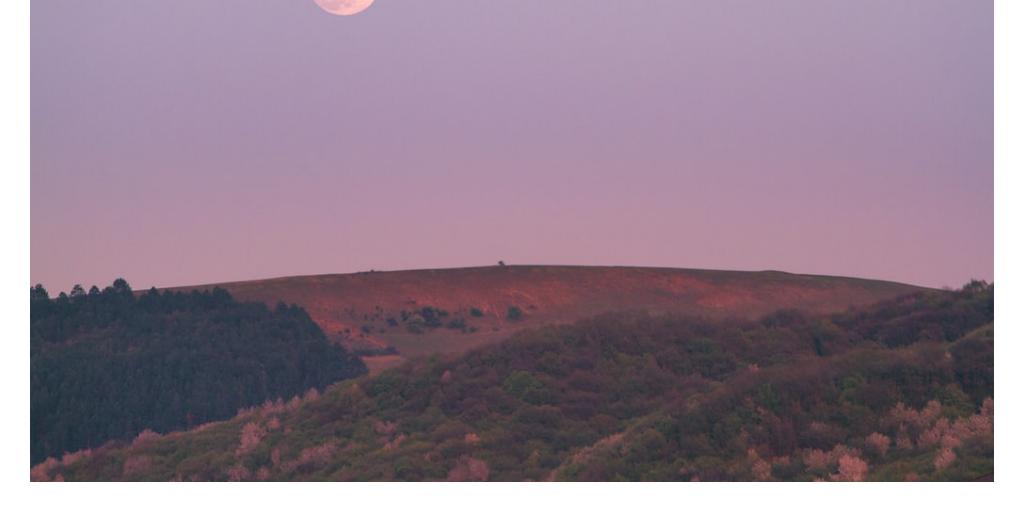 The woods are the gateway  
Discovering highways the lost will discern  
The bonds of the wizards 
Restrict my aura 
#poem  #share2steem