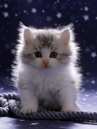 <a href="/JackConnie/">Connie Jack</a> @MelindaYoe <a href="/Jesus_Luvs_Us/">Betty Roz</a> <a href="/Iluvinspireu/">jane ferris</a> <a href="/ShehanHolly47/">Holly Shehan</a> <a href="/Peeperpea29/">Dawn Maria</a> <a href="/Jilliemary/">Jillian Peeling</a> <a href="/ClockworkHamma/">Clockwork Hamma</a> <a href="/debratankersle1/">debra tankersley</a> <a href="/MyEngland2016/">Stephen</a> <a href="/roads2/">Susan Nelson</a> @huner0909 @ann4252 <a href="/Collazo474/">Margie</a> <a href="/SherryBretz05/">Sherry</a> <a href="/thienhtruong/">♥thien♥</a> Hi connie enjoy your day dear friend 😊🤗💞
