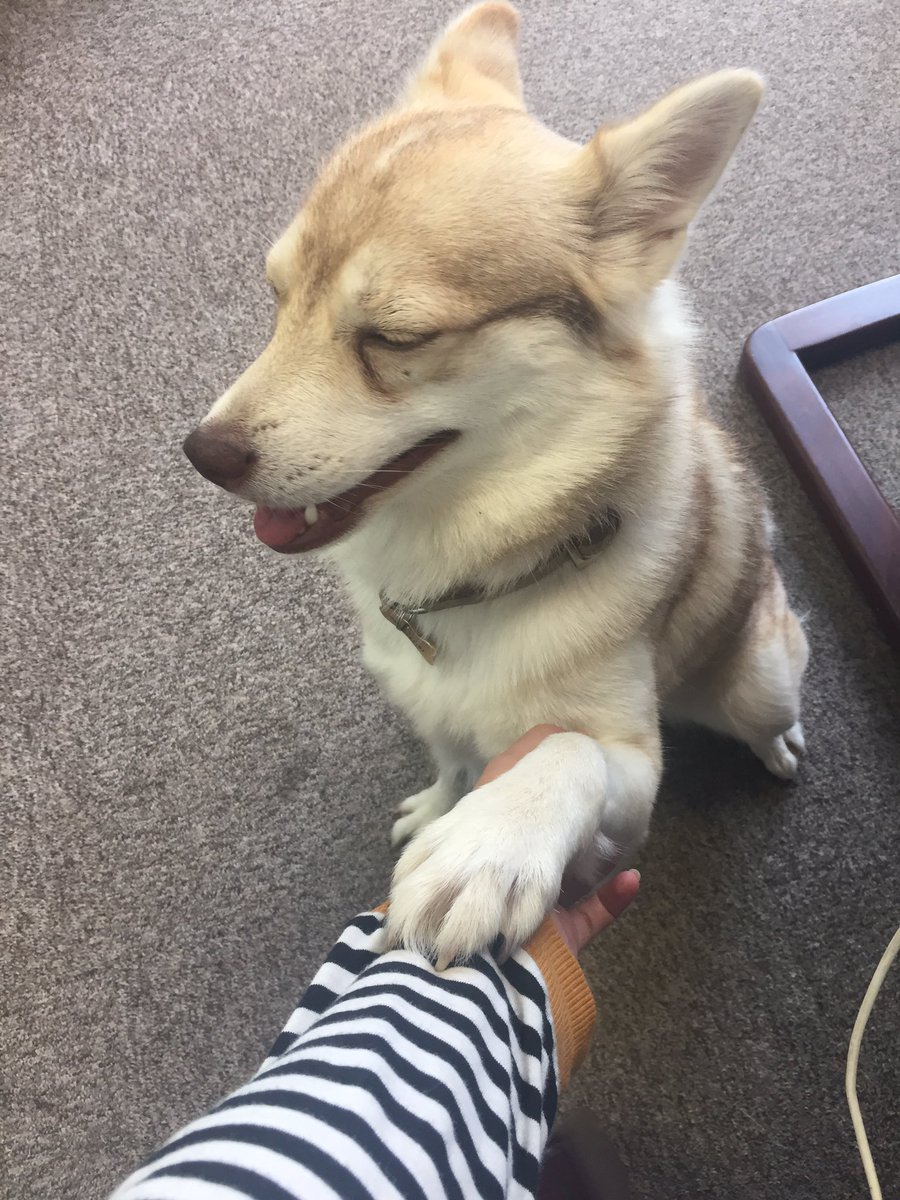 Everyones favourite WePop employee...