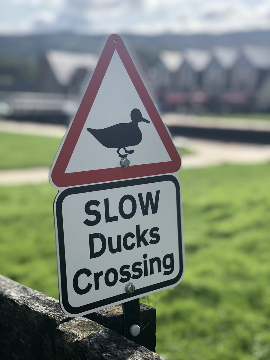 podsache's tweet photo. #Schottland #vacation #haupcastpodsache #podcast #aufdieohren #MondayMorning https://t.co/Y9qHqBPU5w