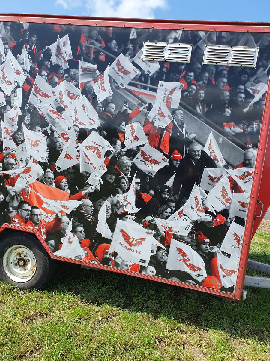 Scarlets Wheelchair Rugby tweet media