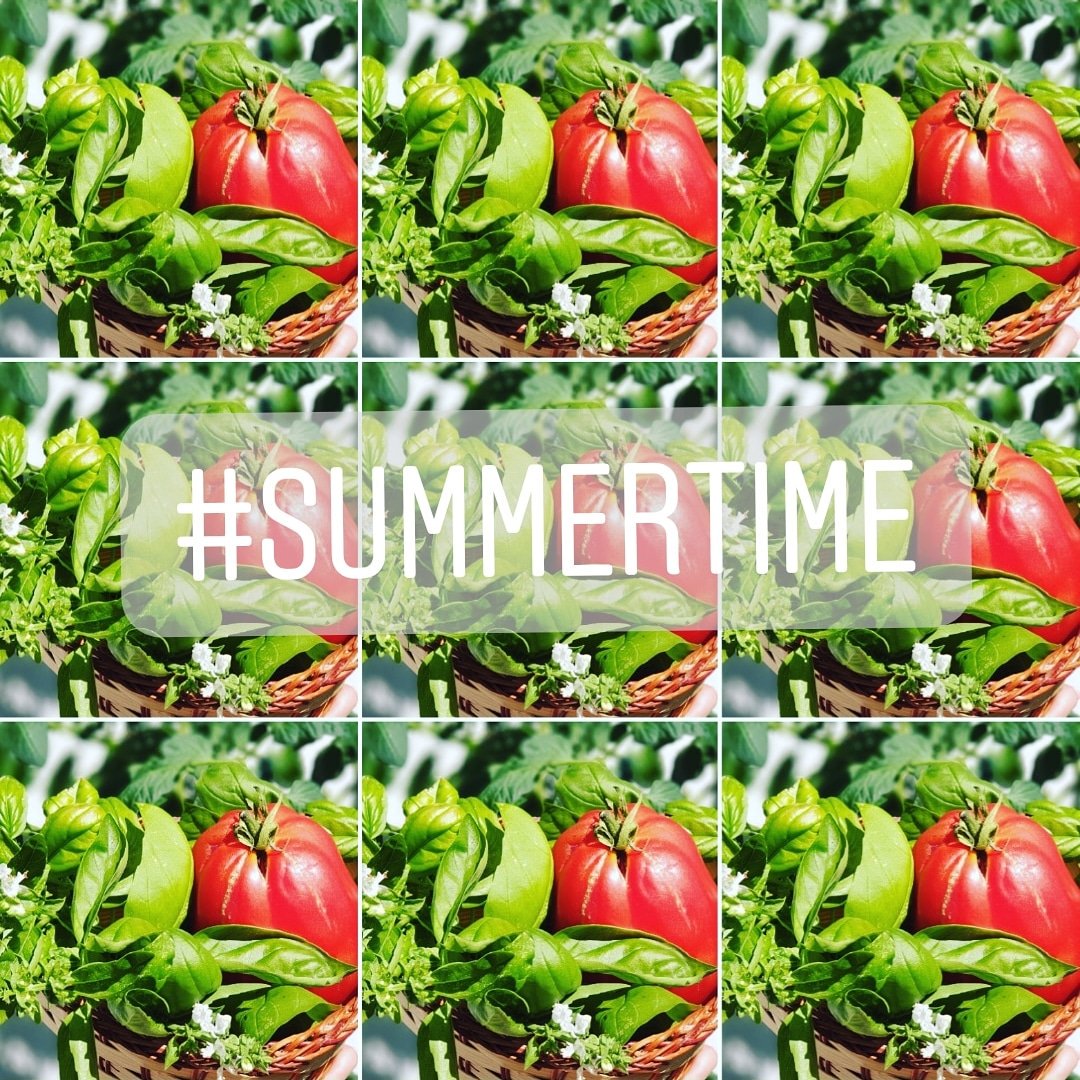 FesBulgaria's tweet photo. FES Urban Gardening, Stage 3 🍅🌱☀️
#FirstTomato #SelfGrown #GreenOffice #SummerInTheCity #FESBG https://t.co/fbMnZULSV5