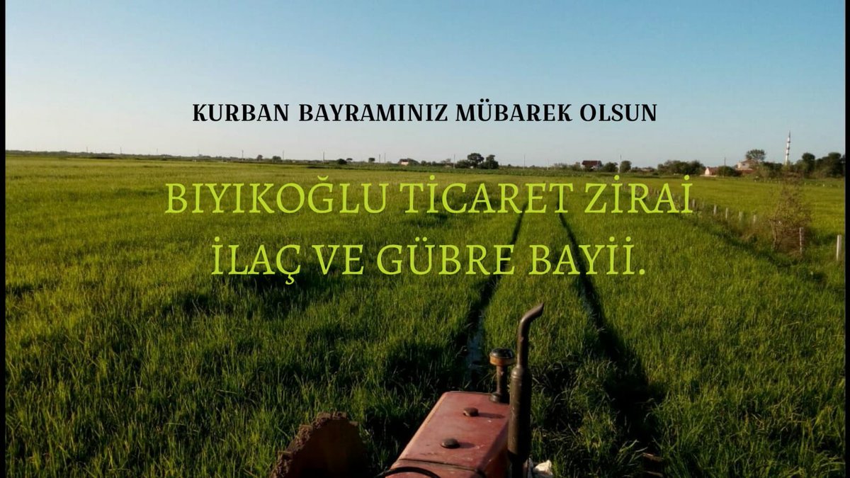ibbiyik's tweet photo. https://t.co/rRh5qOXgoS