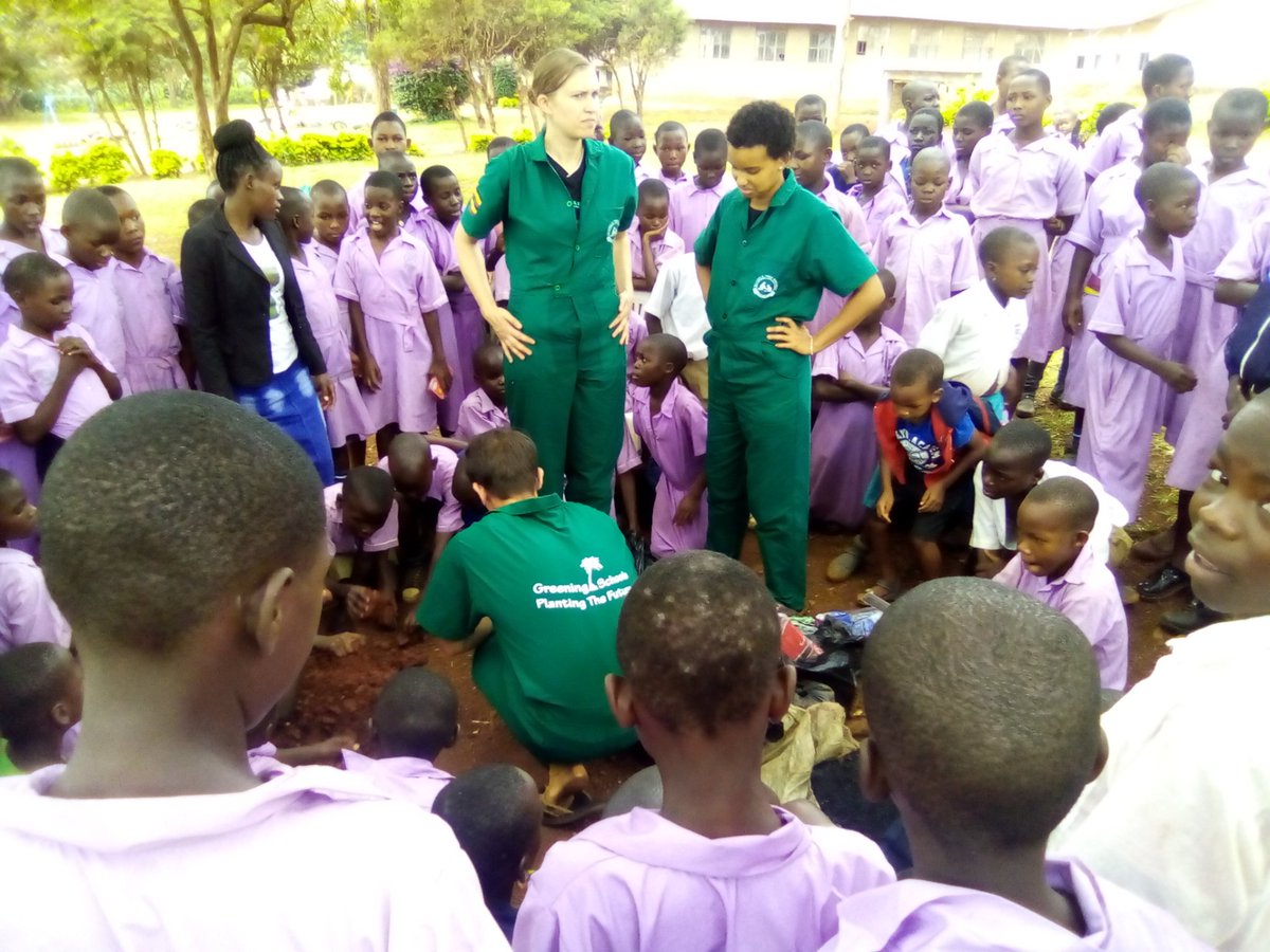 Schools Tree Project tweet media