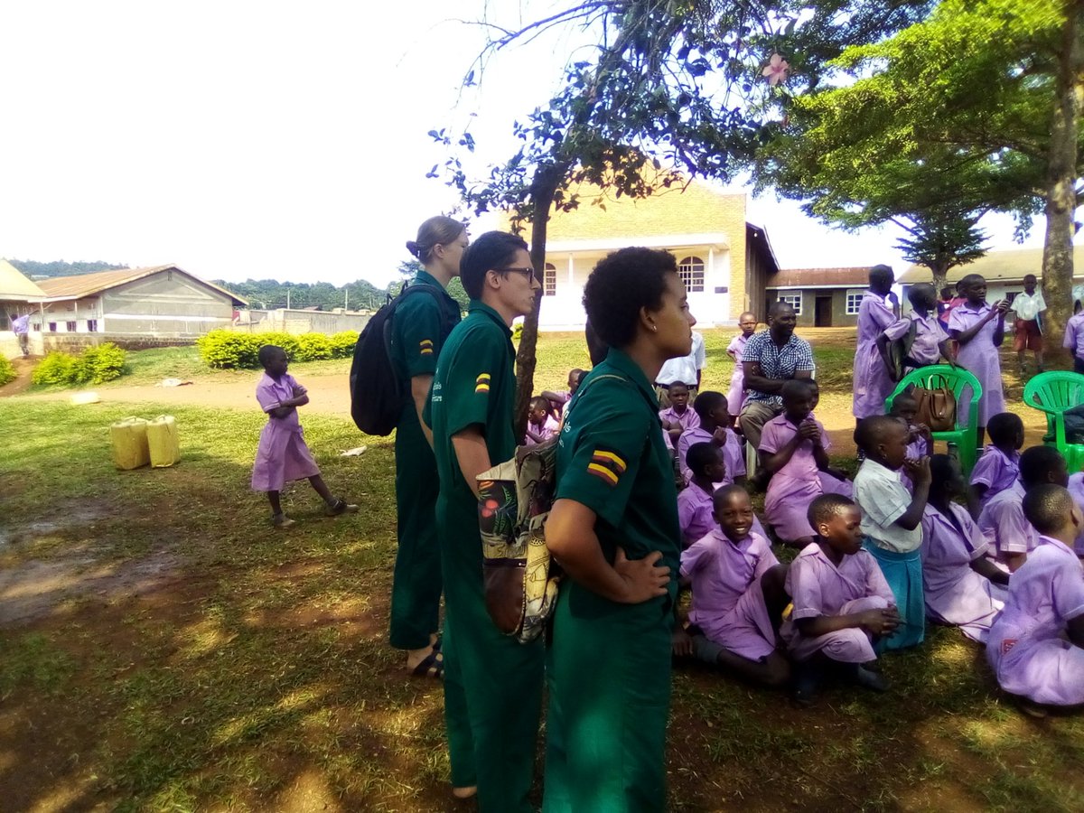 Schools Tree Project tweet media