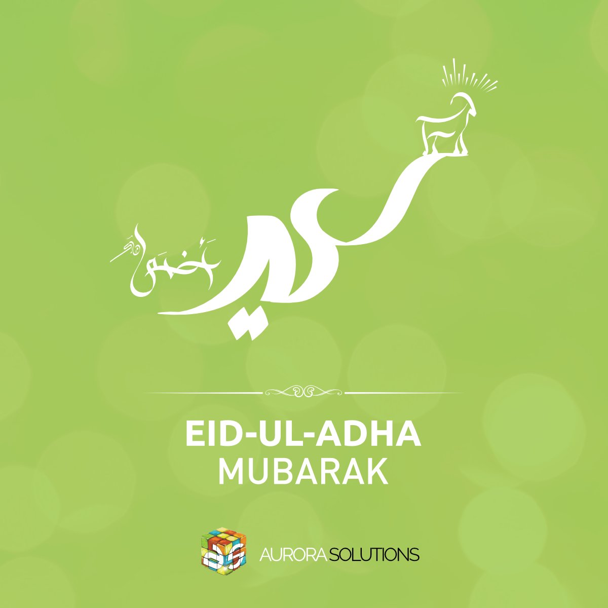 Aurora__Sol's tweet photo. We wish everyone the blessed and happy festivity of Eid-ul-Azha! May our sacrifices be accepted and we become more generous in helping others! Enjoy the meat &amp; BBQs :D 
#AuroraSolutions #Eid2019 #EidMubarak2019 #AuroraCelebrates https://t.co/gIjCpyNHZu