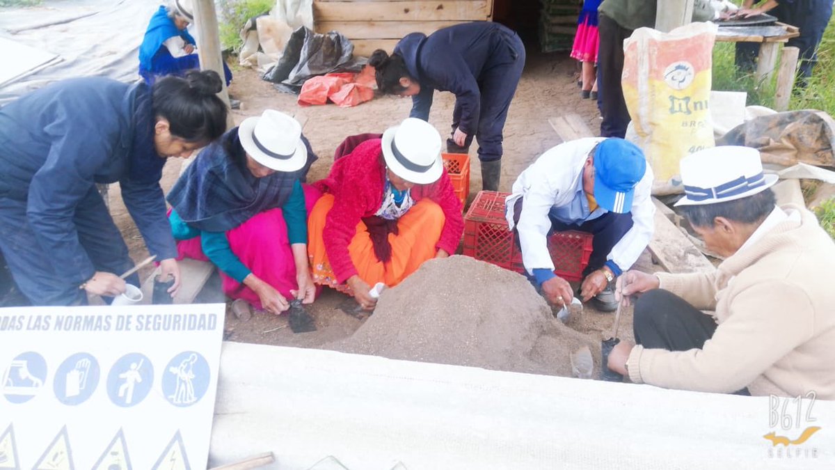 FONAPA1's tweet photo. Grupo de adultos mayores apoya al vivero en Quingeo. Se producen hortalizas, plantas forestales y frutales. en beneficio a más de 10 organizaciones de agroproductores. Gracias @PROAmazoniaEC, @Ambiente_Ec, @PNUDEcuador por fortalecer a @ETAPAOficial https://t.co/hCMdDuhkUE