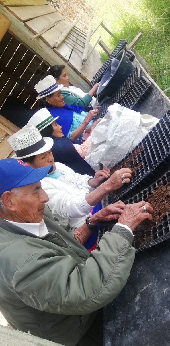 FONAPA1's tweet photo. Grupo de adultos mayores apoya al vivero en Quingeo. Se producen hortalizas, plantas forestales y frutales. en beneficio a más de 10 organizaciones de agroproductores. Gracias @PROAmazoniaEC, @Ambiente_Ec, @PNUDEcuador por fortalecer a @ETAPAOficial https://t.co/hCMdDuhkUE