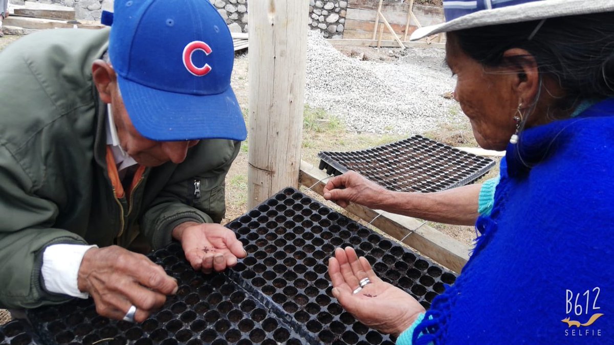 FONAPA1's tweet photo. Grupo de adultos mayores apoya al vivero en Quingeo. Se producen hortalizas, plantas forestales y frutales. en beneficio a más de 10 organizaciones de agroproductores. Gracias @PROAmazoniaEC, @Ambiente_Ec, @PNUDEcuador por fortalecer a @ETAPAOficial https://t.co/hCMdDuhkUE