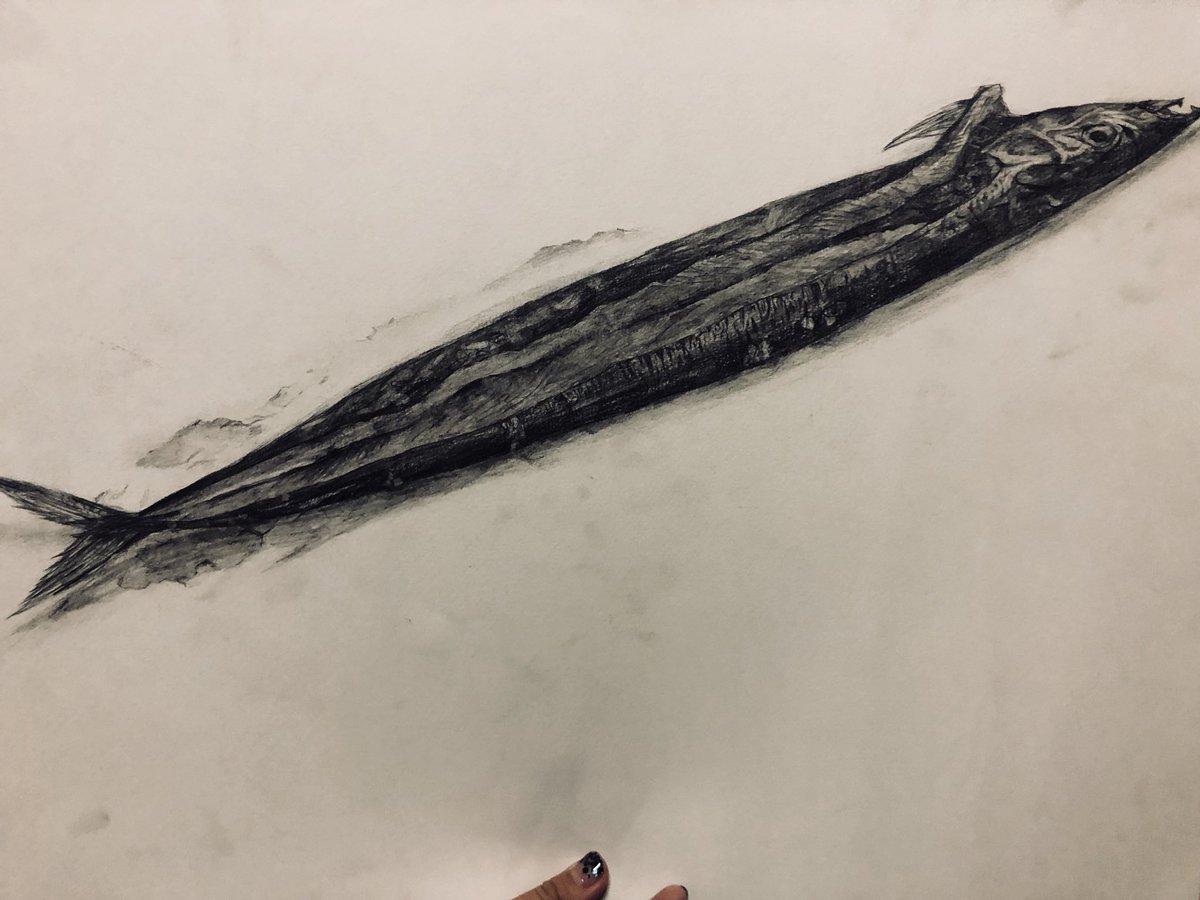 発掘した作品群 1.魚の細密デッサン(ヘタクソ) 2.湿度計が埋め込まれたオブジェ(かわいい) 3.ドローイング(意味がわからない) 4.ドローイング(本当に意味がわからない、記憶がない、怖い) 